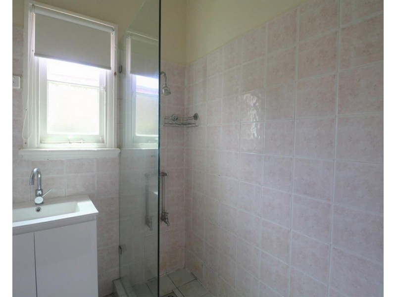 48 Croydon Road, Croydon NSW 2132