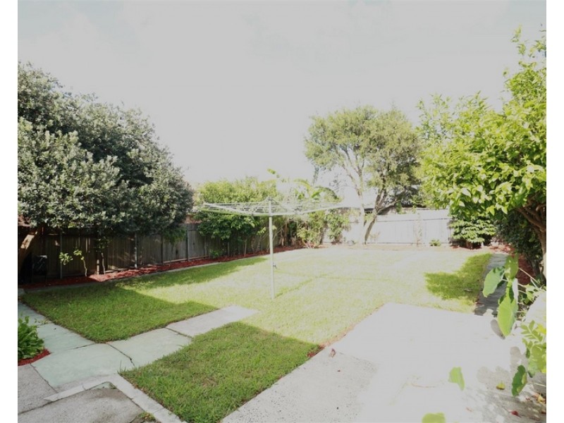 17 Queen Street, Ashfield NSW 2131