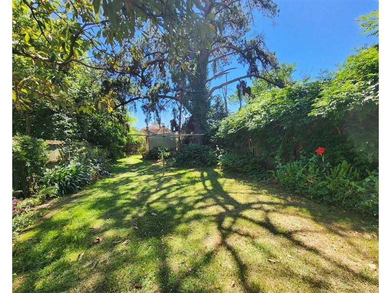 77 Palace Street, Ashfield NSW 2131