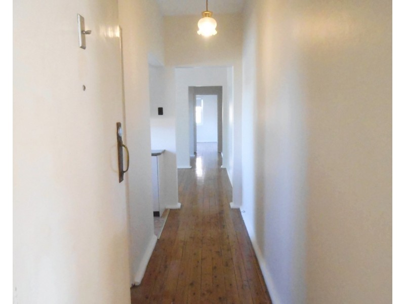 3/ 5 Constitution Road, Dulwich Hill NSW 2203