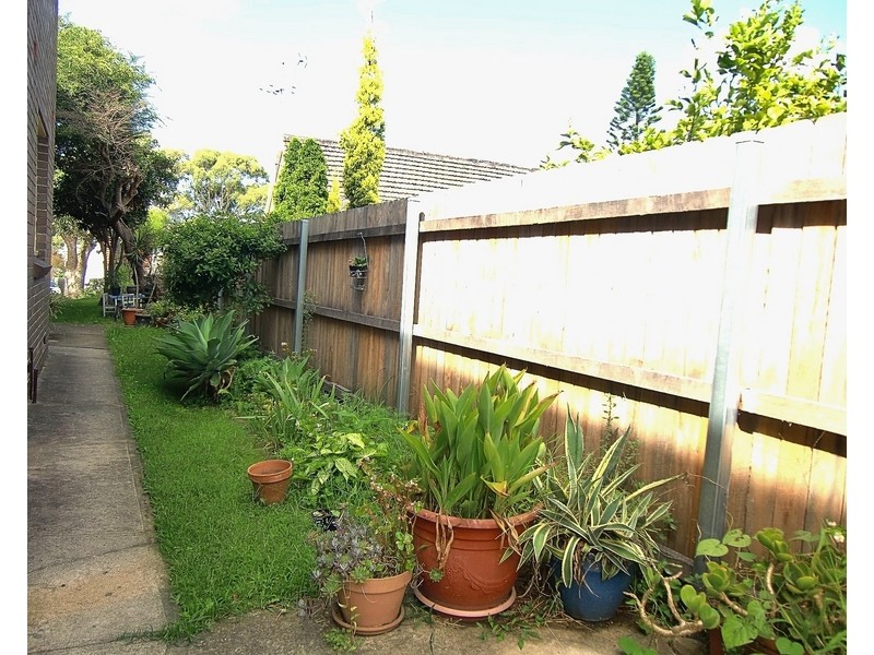 3/ 5 Constitution Road, Dulwich Hill NSW 2203