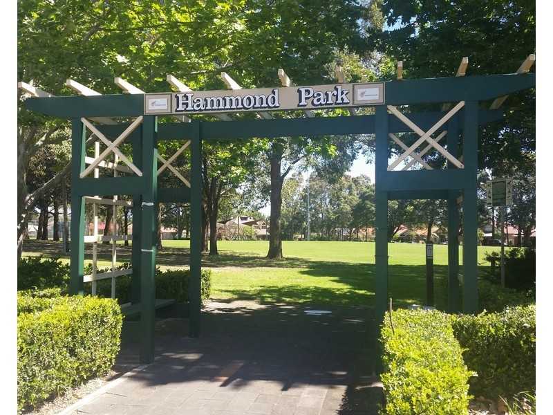 8/ 155 Frederick Street, Ashfield NSW 2131