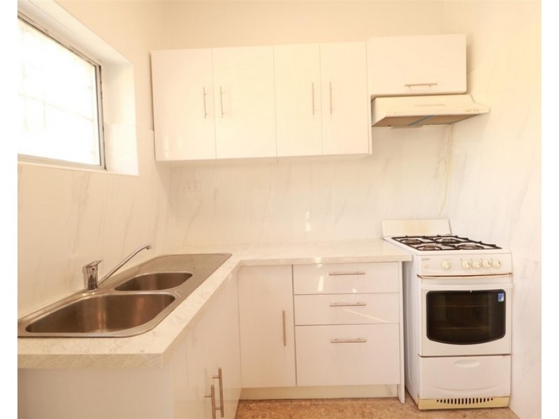 119 Milton Street, Ashfield NSW 2131
