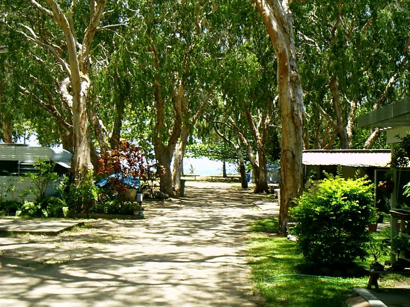 16 Bourke Street, Blacks Beach QLD 4740