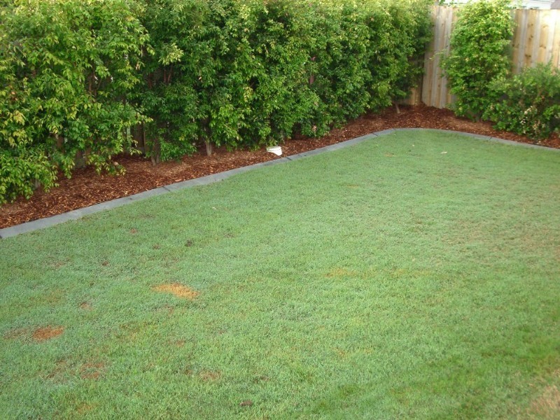 17 Batchelor Place, Banyo QLD 4014