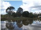 Logan Village QLD 4207