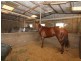 Hendra QLD 4011