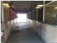 Hendra QLD 4011