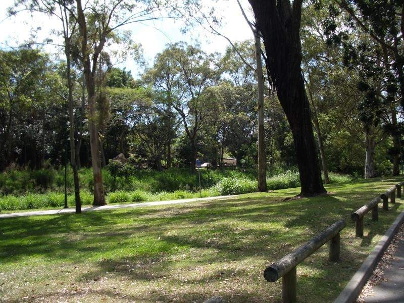 72 Park Avenue, Clayfield QLD 4011