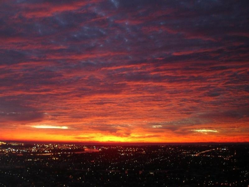 5204/501 Adelaide Street, Brisbane QLD 4000