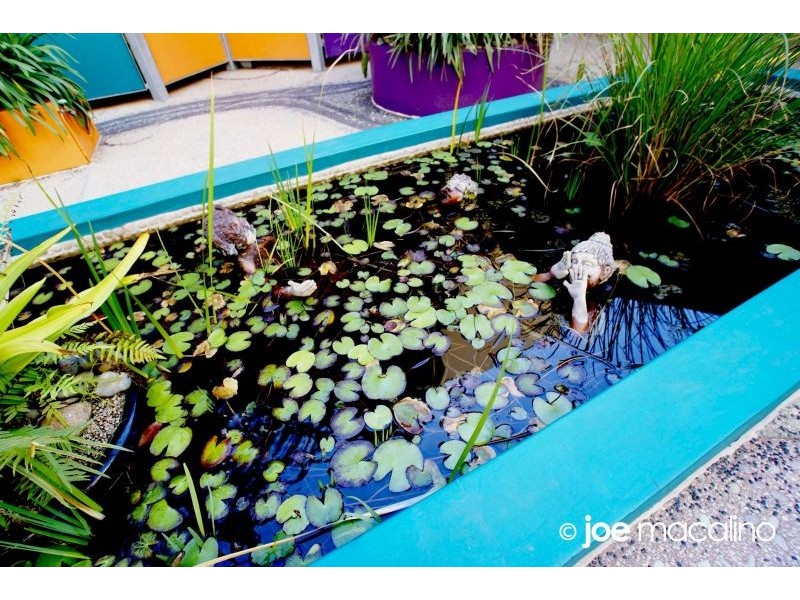 403/292 Brunswick Street, Fortitude Valley QLD 4006