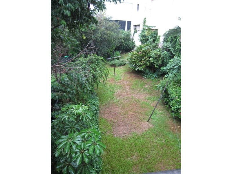 15 Collingwood Street, Paddington QLD 4064