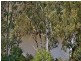 88 Sunset Road, Kenmore QLD 4069
