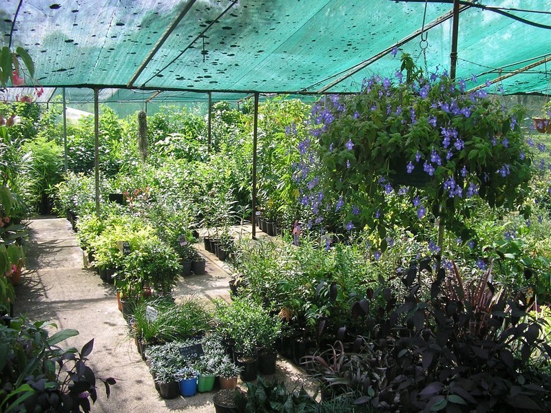 65 Old Fernvale Road, Fernvale QLD 4306