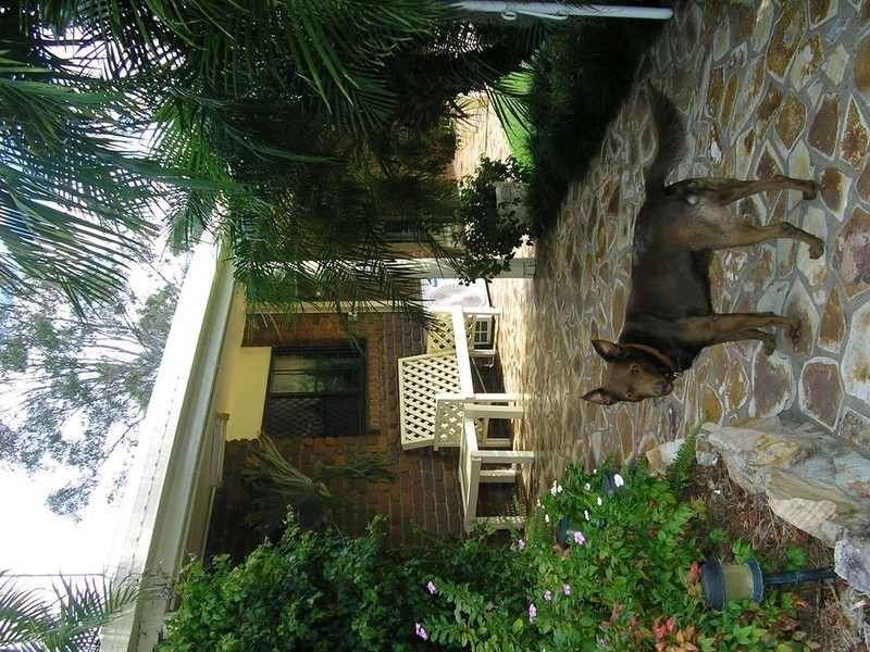 65 Old Fernvale Road, Fernvale QLD 4306