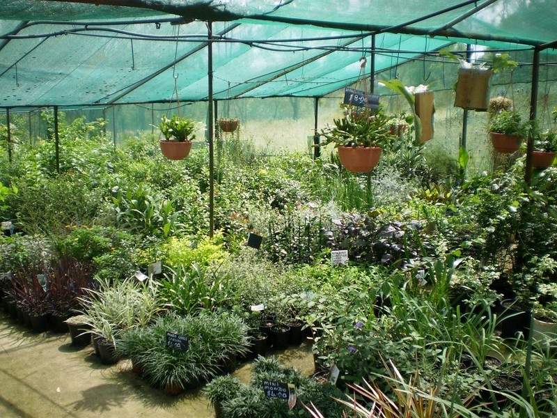 65 Old Fernvale Road, Fernvale QLD 4306