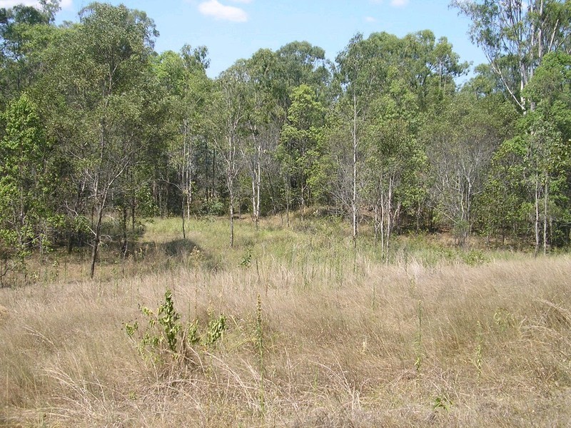 Wivenhoe Pocket QLD 4306