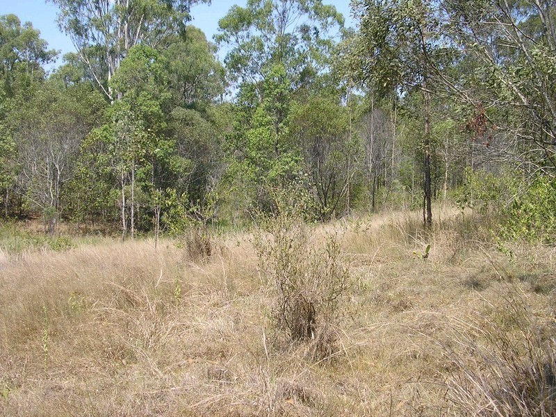 Wivenhoe Pocket QLD 4306