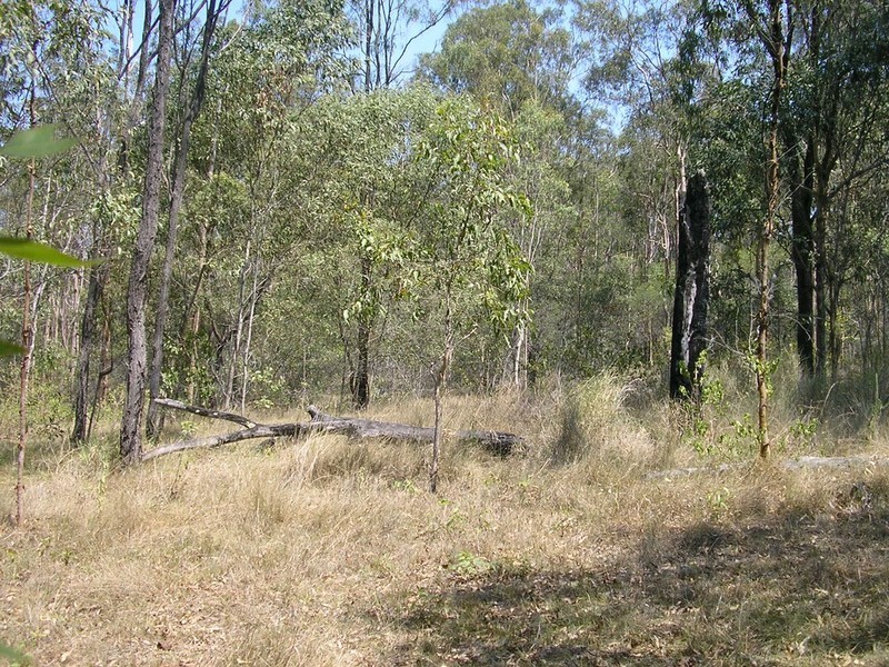 Wivenhoe Pocket QLD 4306