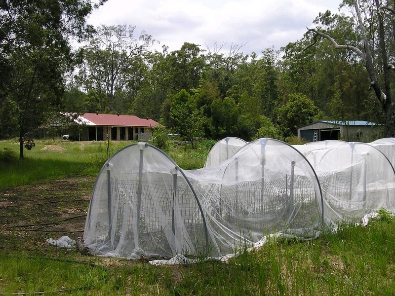 Mount Hallen QLD 4312