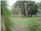 Vernor QLD 4306