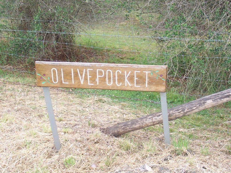 Wivenhoe Pocket QLD 4306