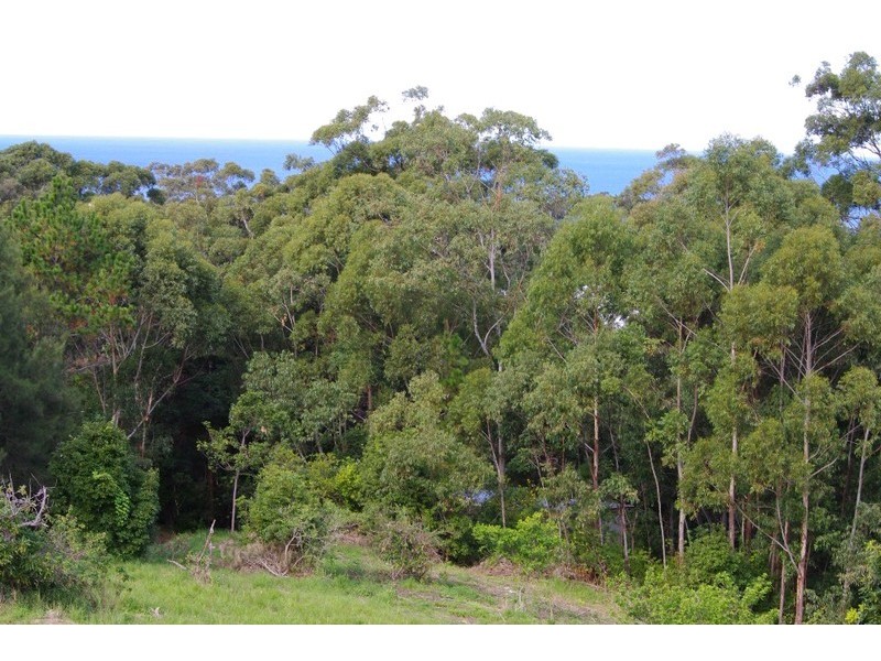 349B Old Coast Road, Korora NSW 2450