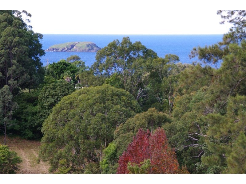 349B Old Coast Road, Korora NSW 2450