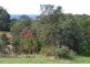 349B Old Coast Road, Korora NSW 2450
