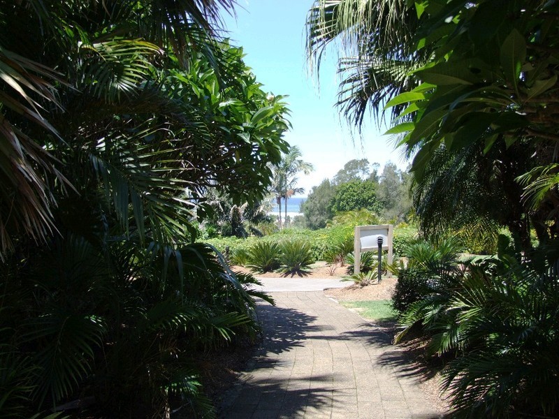 31/4 Firman Drive, Coffs Harbour NSW 2450