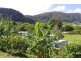 77 & 77a Spagnolos Road, Coffs Harbour NSW 2450