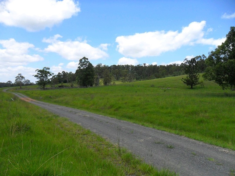Lot 178 Smiths Creek Road, Copmanhurst NSW 2460