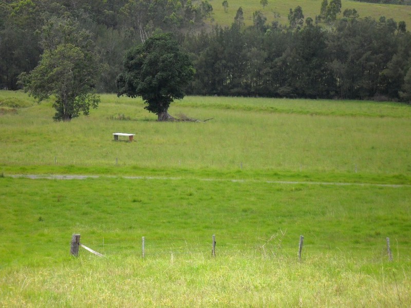 Lot 178 Smiths Creek Road, Copmanhurst NSW 2460