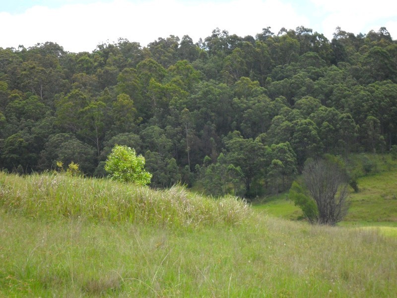 Lot 178 Smiths Creek Road, Copmanhurst NSW 2460