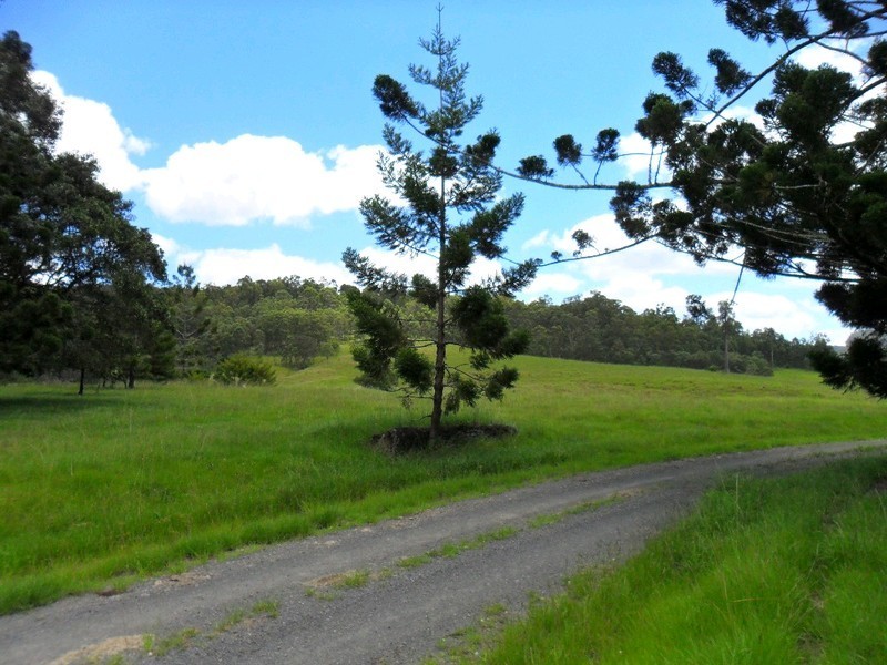 Lot 178 Smiths Creek Road, Copmanhurst NSW 2460