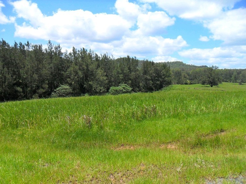 Lot/368 & 324 Smiths Creek Road, Copmanhurst NSW 2460