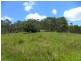 Lot/368 & 324 Smiths Creek Road, Copmanhurst NSW 2460