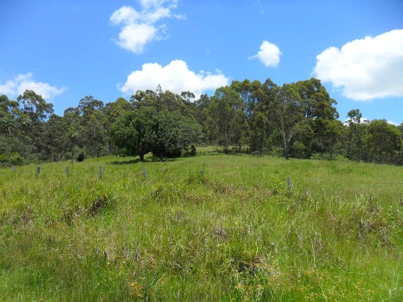 Lot/368 & 324 Smiths Creek Road, Copmanhurst NSW 2460