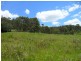 Lot/368 & 324 Smiths Creek Road, Copmanhurst NSW 2460