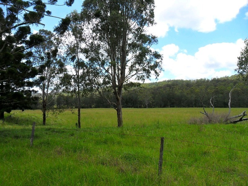 Lot/368 & 324 Smiths Creek Road, Copmanhurst NSW 2460