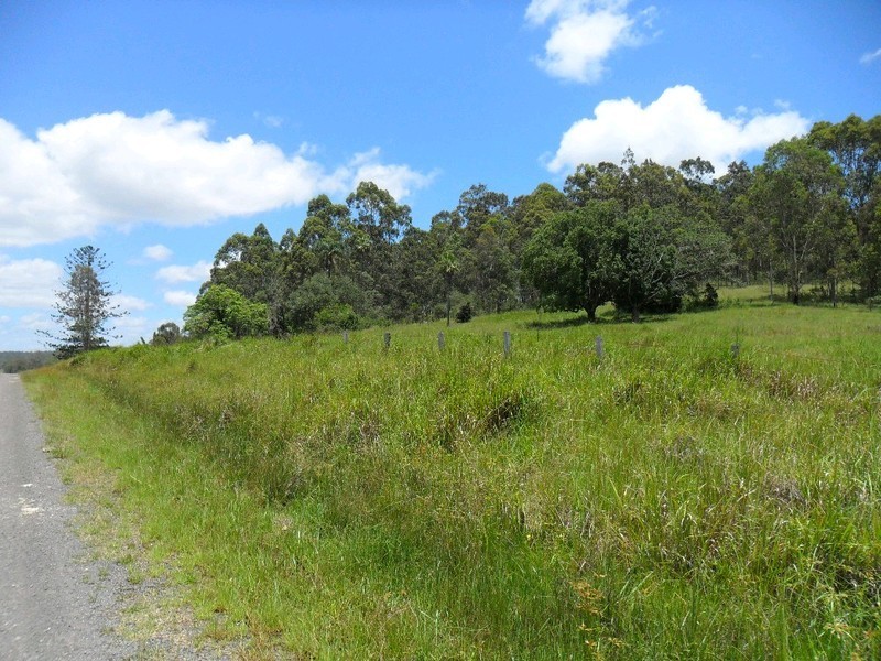 Lot/368 & 324 Smiths Creek Road, Copmanhurst NSW 2460