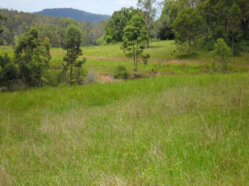 Lot/368 & 324 Smiths Creek Road, Copmanhurst NSW 2460