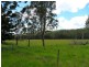 Lot/368 & 324 Smiths Creek Road, Copmanhurst NSW 2460