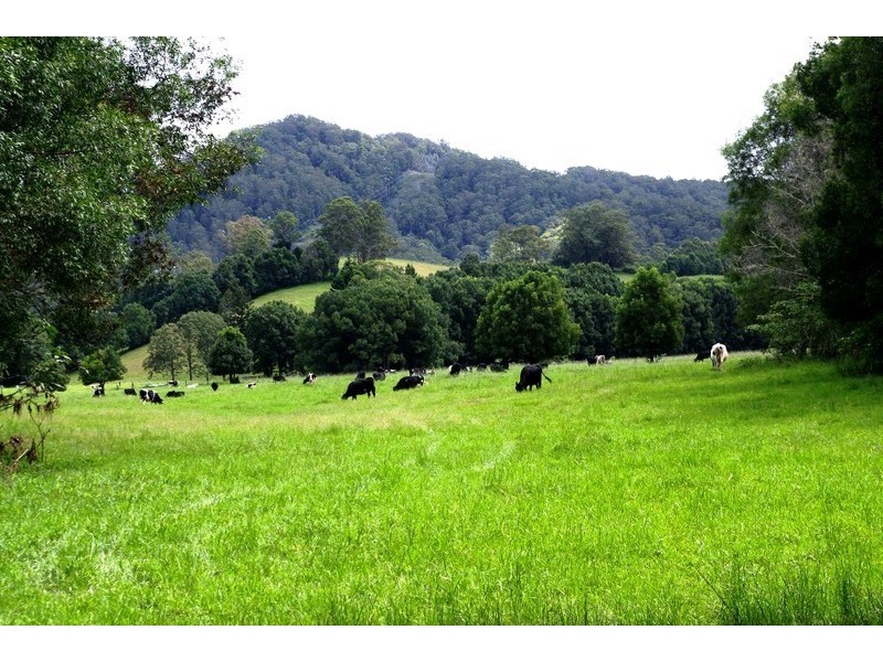 63 Dairyville Road, Upper Orara NSW 2450