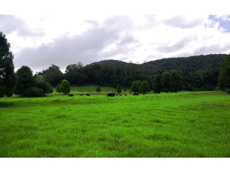 63 Dairyville Road, Upper Orara NSW 2450