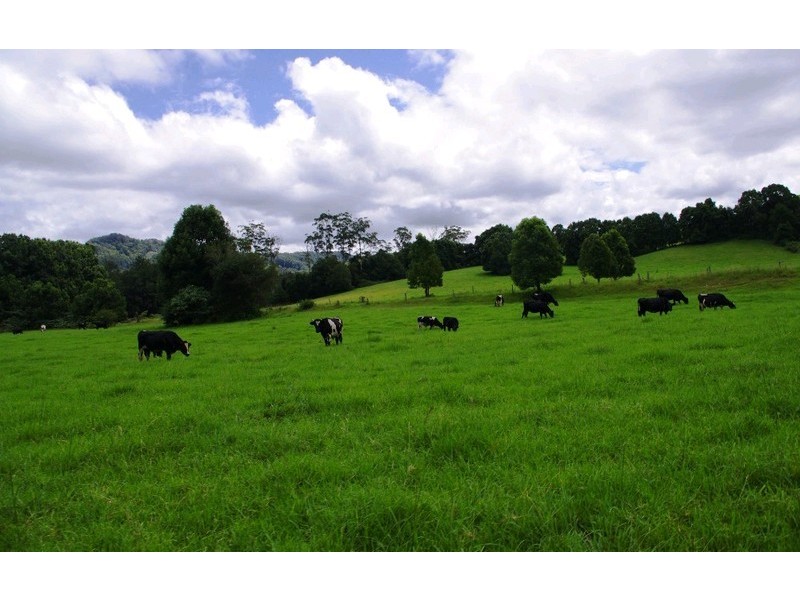 63 Dairyville Road, Upper Orara NSW 2450