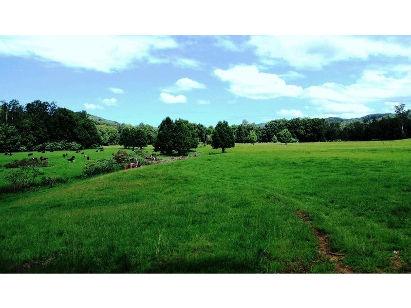 63 Dairyville Road, Upper Orara NSW 2450