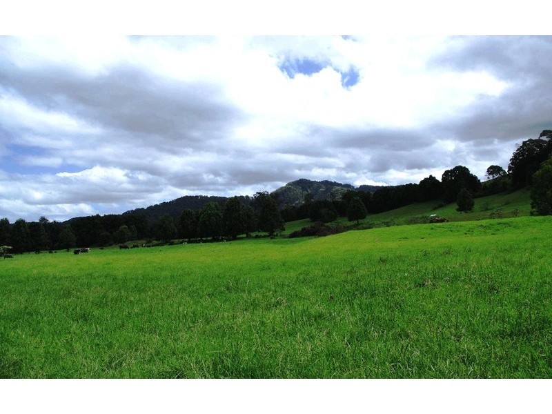 63 Dairyville Road, Upper Orara NSW 2450