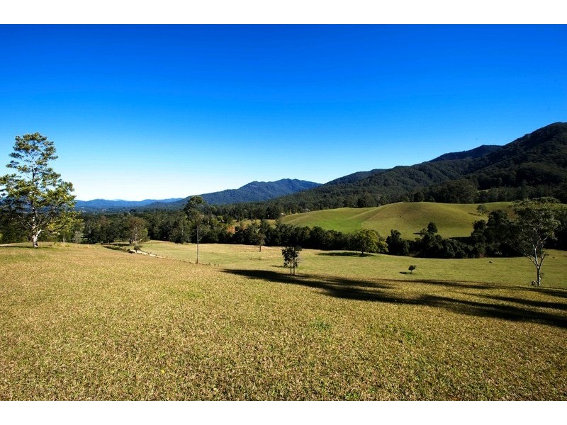 Bellingen NSW 2454