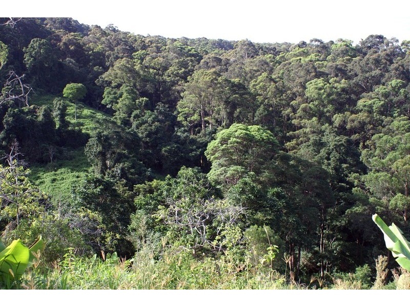 LOT 3 Newmans Road, Woolgoolga NSW 2456